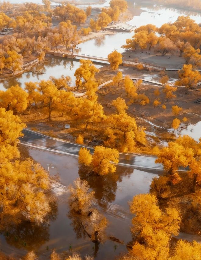 最佳观赏时间+必玩景点旅游攻略澳门新葡京app额济纳旗胡杨林(图3)